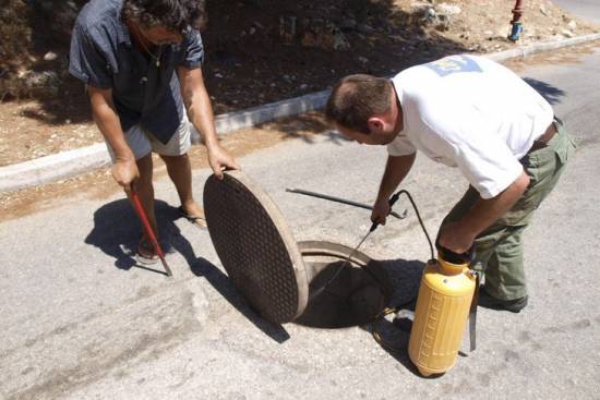 Ξεκίνησαν και πάλι οι απεντομώσεις στο Αργοστόλι!