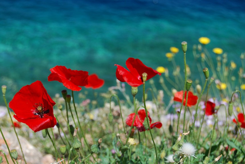 Αναβάλλεται η Πρωτομαγιά στον Πόρο