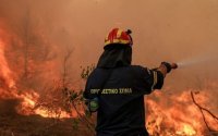 Σύλληψη Εποχικού Πυροσβέστη για εμπρησμό στην Κεφαλονιά: Παραδειγματική τιμωρία ζητά το Πανελλήνιο Σωματείο Συμβασιούχων Πυροσβεστών