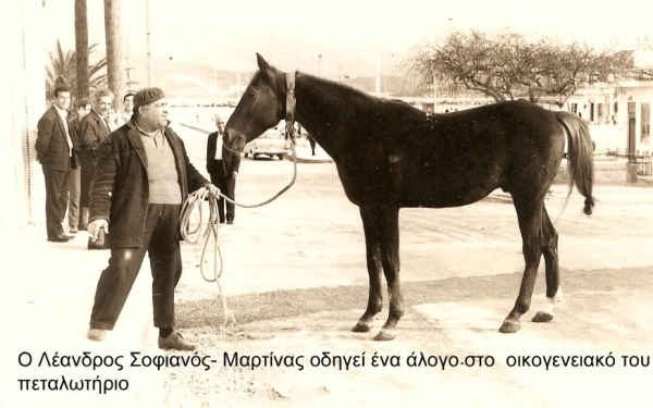 «Το πεταλωτήριο του Μαρτίνα»: Σπύρος, Μπάμπης και Λέανδρος Σοφιανός, οι πεταλωτές του Ληξουριού