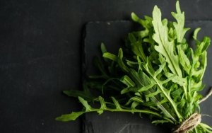 Εργαστήρι συλλογής χόρτων στον Βοτανικό Κήπο Κεφαλονιάς