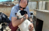 Σύλλογος Ζωόφιλων &quot;ΝΤΟΡΙΣ&quot;: Άλλη μια υπέροχη υιοθεσία (εικόνες)
