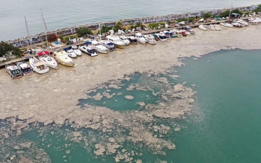 &quot;Βλέννα&quot; πάχους 15 μέτρων απειλεί το Αιγαίο: Συναγερμός στη θάλασσα του Μαρμαρά