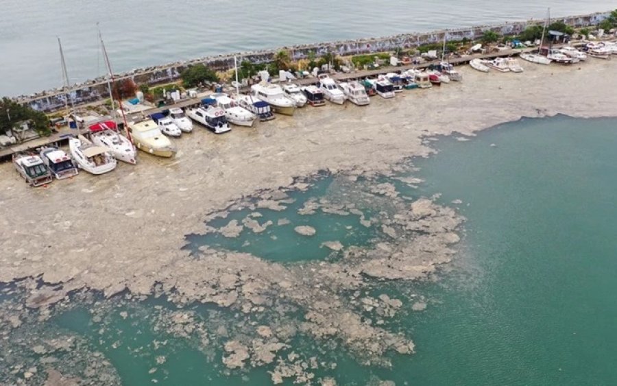 "Βλέννα" πάχους 15 μέτρων απειλεί το Αιγαίο: Συναγερμός στη θάλασσα του Μαρμαρά