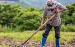 Δήμος Σάμης: Ενημέρωση για αγρότες &amp; μικροκαλλιεργητές