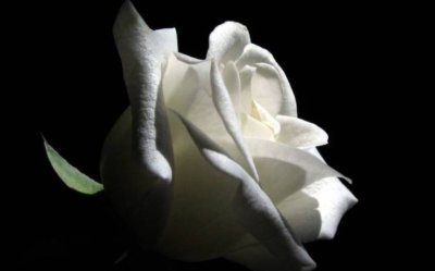 Ευχαριστήριο οικογένειας Γεωργίου Χαλαβαζή για την συμπαράσταση στο πένθος