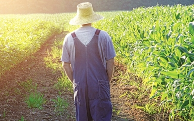 Ε.Α.Σ.: Δηλώσεις Επιδοτήσεων Ο.Σ.Δ.Ε. και Μεταβιβάσεις Δικαιωμάτων