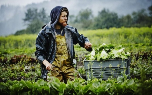 2η πρόσκληση του προγράμματος για τους νέους αγρότες ύψους 26,67 εκατ. €