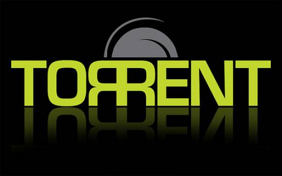 Οι 10 δημοφιλέστερες ιστοσελίδες torrents για το 2013