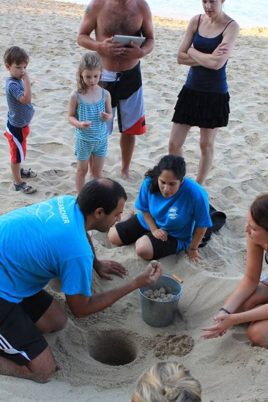 New sea turtle nest in Makris Gialos