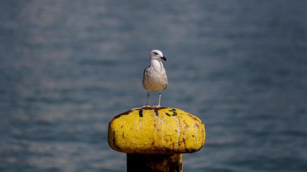 Λιμεναρχείο Κεφαλονιάς: Λήψη αυξημένων μέτρων λόγω δελτίου επιδείνωσης καιρού