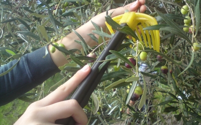 Προσλήψεις 2 ατόμων στην Περιφερειακή Ενότητα Κεφαλονιάς