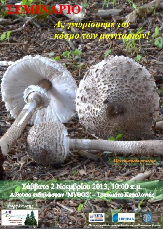 Σεμινάριο για τον "κόσμο των μανιταριών" απο τον Φορέα Διαχείρισης Εθνικού Δρυμού Αίνου