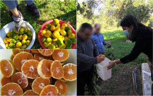 Κ.Δ.Η.Φ Α.μεΑ «ΥΠΕΡΙΩΝ»: Δίνοντας αξία στις Δραστηριότητες Καθημερινής Ζωής (εικόνες)