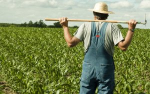 Βαγγέλης Λουκέρης: Η πικρή αλήθεια για τον πρωτογενή τομέα και τα δίκαια αιτήματα των αγροτών