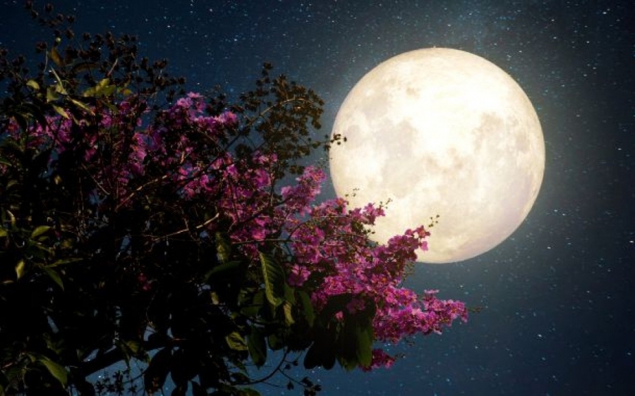 Κόκκινο φεγγάρι σήμερα - Τι είναι η «Πανσέληνος των Ρόδων» που θα φωτίσει τον ουρανό