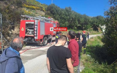 Υπό έλεγχο η μεγάλη φωτιά στον Αλειμματά με τη συνδρομή Πυροσβεστικής και εθελοντών