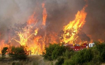 Σε ύφεση η πυρκαγιά στα Μαζαρακάτα