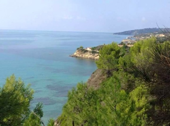 Ανακοίνωση απο τον νεοσύστατο Πολιτιστικό Σύλλογο Μουσάτων &quot;Το Τραπεζάκι&quot;