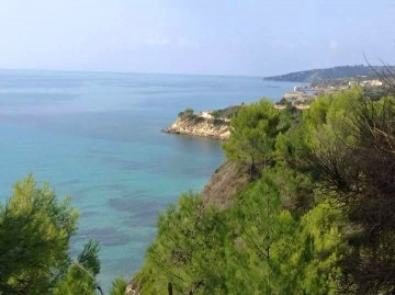 Ανακοίνωση απο τον νεοσύστατο Πολιτιστικό Σύλλογο Μουσάτων &quot;Το Τραπεζάκι&quot;