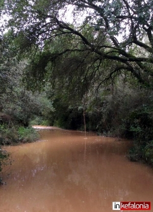 "Ποτάμι" και στο Τραπεζάκι