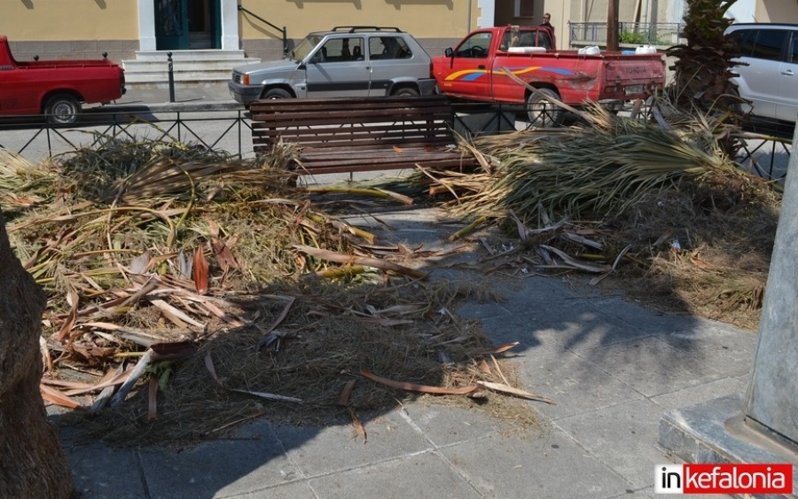Ξέχασαν να καθαρίσουν την πλατεία Ρωμανού, μπροστά από την Πειραιώς - Μια εβδομάδα γεμάτη κομμένα δέντρα και χορτάρια