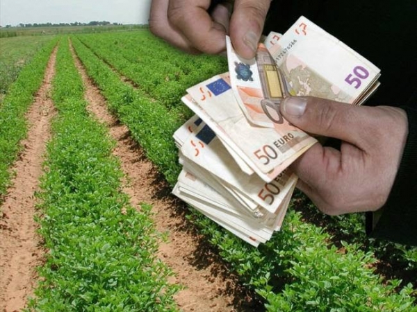 Ε.Α.Σ. : Αγροτικές Επιδοτήσεις περιόδου 2015 - 2020
