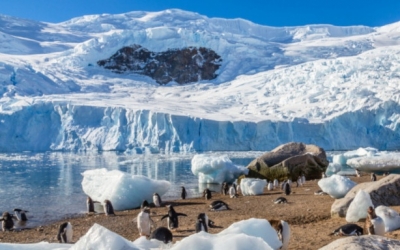 Παγετώνες: Πάνω από 9 δισ. τόνοι πάγου έχουν λιώσει από το 1961 [εικόνες]