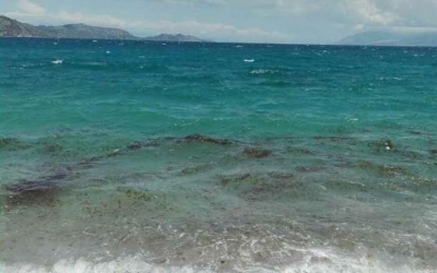 Κονδύλι ενός εκατ. ευρώ για τις τσούχτρες στον Κορινθιακό