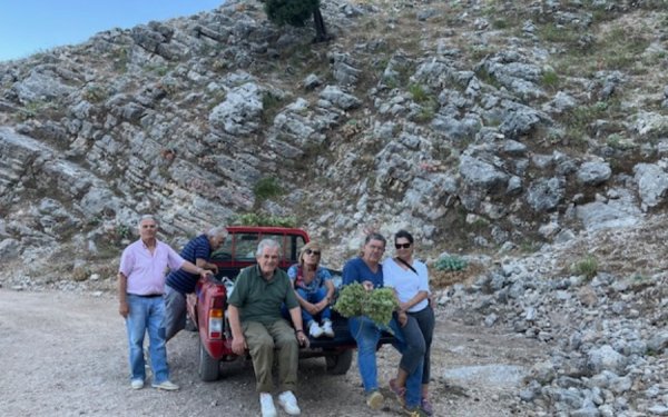 Μάζεψαν την άγρια ρίγανη του Αίνου με θέα το Ιόνιο