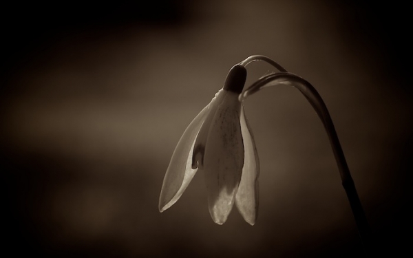 Θλίψη στον Πόρο για τον απρόσμενο χαμό της 39χρονης Μέμης
