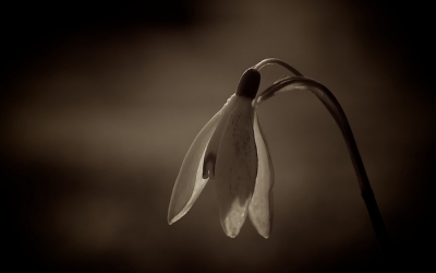 Θλίψη στον Πόρο για τον απρόσμενο χαμό της 39χρονης Μέμης