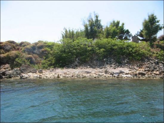Καθάρισαν τους Βαρδιάνους τα μέλη του Συλλόγου «Αετός» [εικόνες]