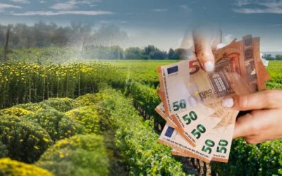 Ε.Α.Σ. : Προγραμματισμός πληρωμών αγροτικών επιδοτήσεων από ΓΔΕΛΕΠ - ΑΑΔΕ