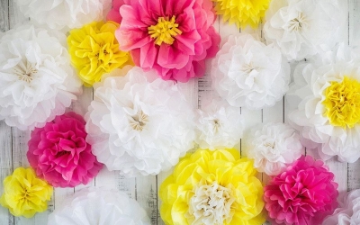 Πρόγραμμα δραστηριοτήτων Πολιτιστικού Συλλόγου Αγ. Ευφημίας "το Φανάρι"