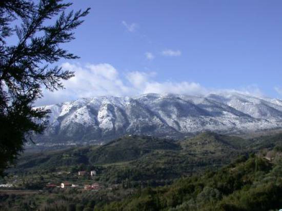 Η. Μπεριάτος «Υποκρισία &amp; ντροπή η κατάργηση του Φορέα Διαχείρισης του Εθνικού Πάρκου του Δρυμού Αίνου»