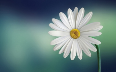 Η Ένωση ΑμεΑ «ΥΠΕΡΙΩΝ» ευχαριστεί...