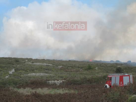 Υπό πλήρη έλεγχο τέθηκε η φωτιά στα Δαμουλιανάτα (photos)