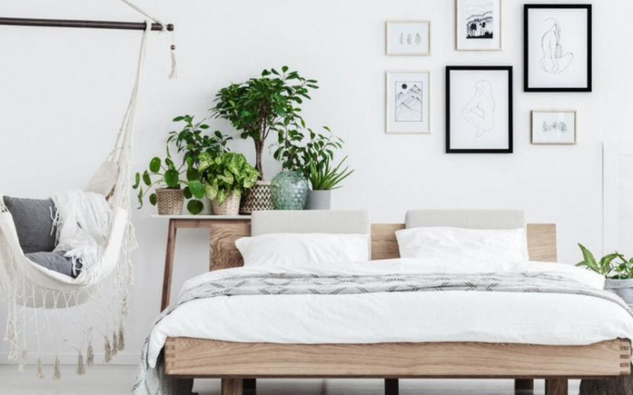 Τα φυτά που πρέπει να βάλεις στο υπνοδωμάτιό σου για να βελτιώσεις την ποιότητα του ύπνου σου