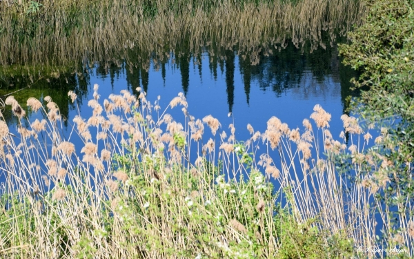 Η Λίμνη "Άβυθος" στην Κεφαλονιά (εικόνες)