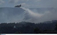 1,76 δισ. ευρώ για τον σχεδιασμό της αντιπυρικής προστασίας – Ενισχύεται ο στόλος αεροπυρόσβεσης