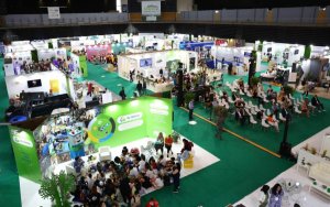 ΠΕΔ-ΙΝ: Δυναμική παρουσία στην Attica Green Expo 2026 με έμφαση στη βιώσιμη ανάπτυξη και τον πολιτισμό των Ιονίων Νήσων