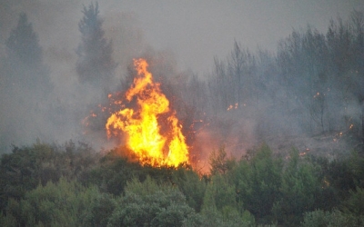 Ζάκυνθος: Πυρκαγιά στη θέση Σκοπός, στο χωριό Καλαμάκι