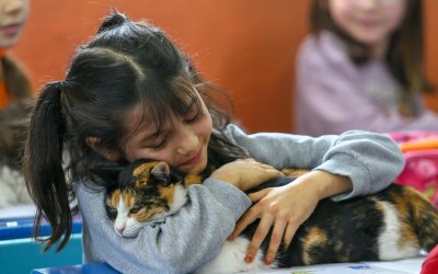 Ένα δημοτικό σχολείο με μόλις 19 μαθητές, έγινε καταφύγιο για 30 υπέροχες γάτες
