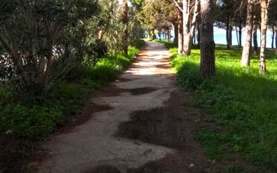 Είδαμε άσπρη μέρα!