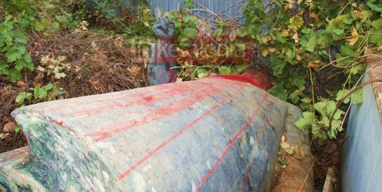 1000 υπογραφές από τη Χρυσή Αυγή για το άγαλμα του Μεταξά!