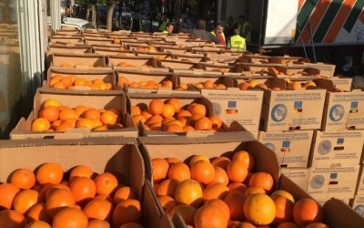 Διανέμονται πορτοκάλια στις πολύτεκνες οικογένειες