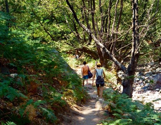 Εντοπίστηκαν οι δύο τουρίστες που είχαν χαθεί στη Σάμη (ανανεωμένο)