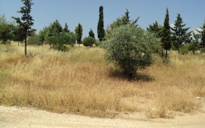 Επιστολή κατοίκου στον Δήμαρχο για τα ξερά χόρτα στα χωριά