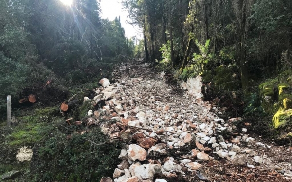 Η καταστροφή του φυσικού μονοπατιού στο Φώκι (εικόνα)